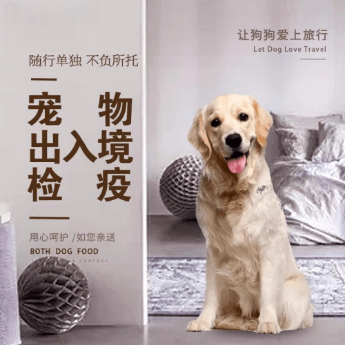 果洛州宠物托运到哥伦比亚猫狗宠物入境规定和