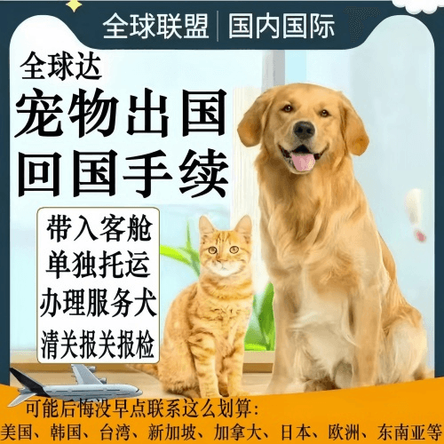 果洛州宠物托运到柬埔寨宠物入境规定和要求