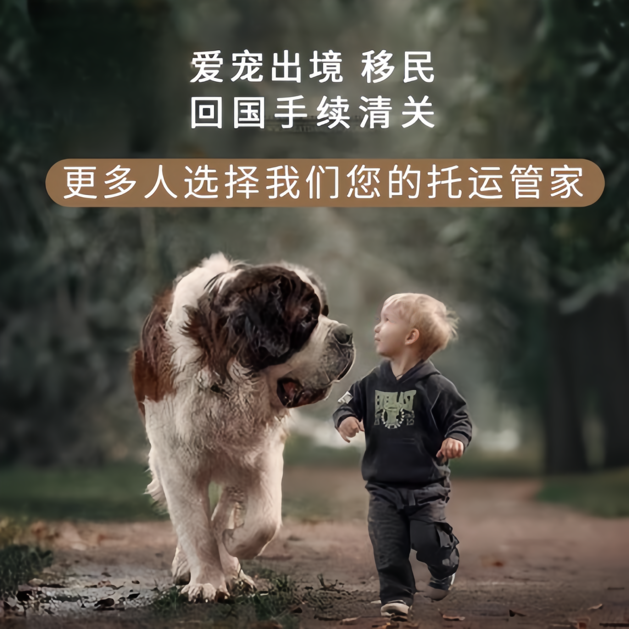 满财果洛州宠物全球达宠物托运在遵守入境目的地政策的条件