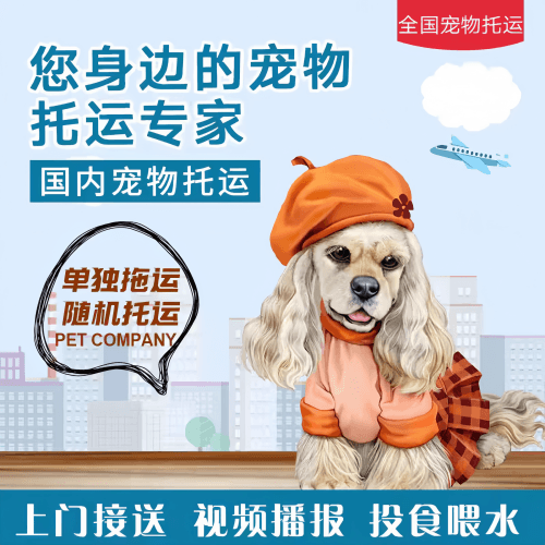 满财果洛州宠物全球达宠物托运作为专业的宠物运输代理机构